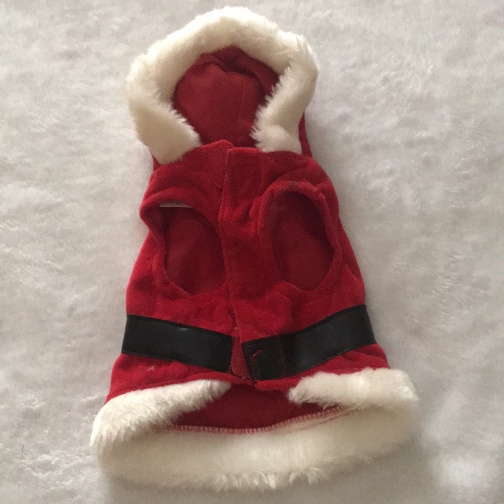 Santa Suit and Naughty Shirt - Picture 5 of 7